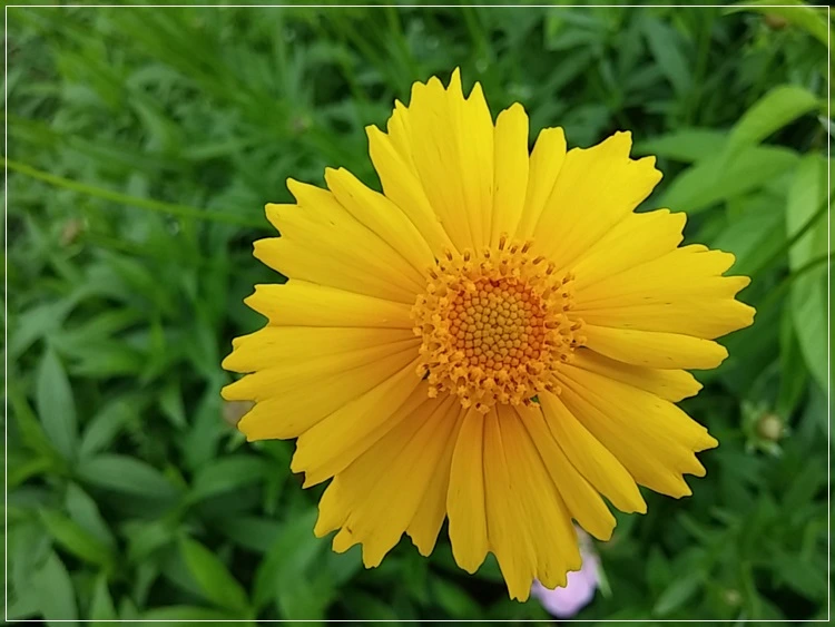 a0109537_574858fae89b3.jpg?type=w966