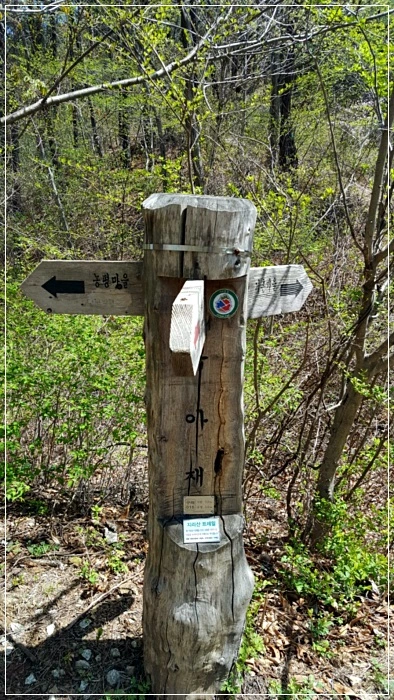 a0109537_5ad5f3ea20f2d.jpg?type=w966