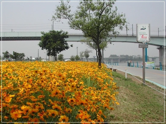 a0109537_4987942ebc740.jpg?type=w966