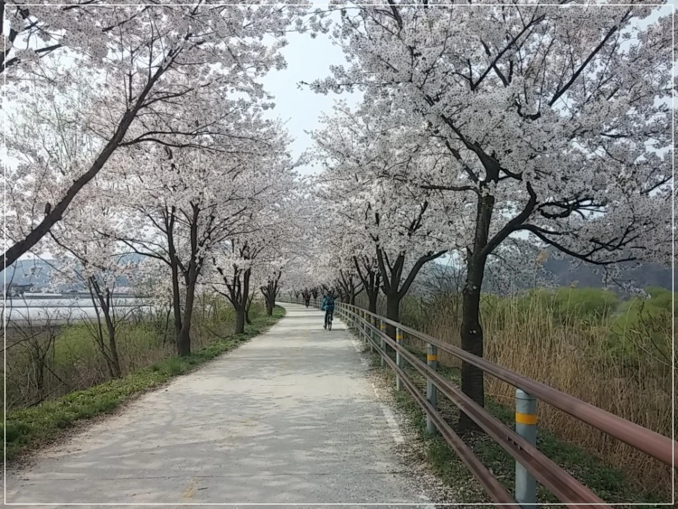 a0109537_570e590b08253.jpg?type=w966