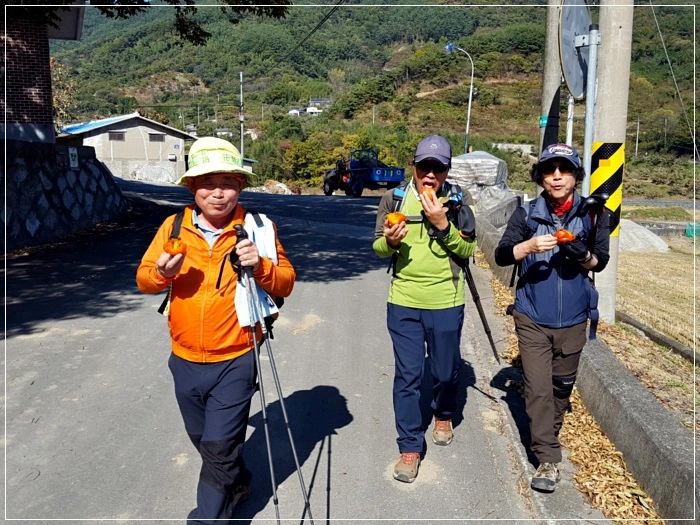 a0109537_5a00264d191bd.jpg?type=w966