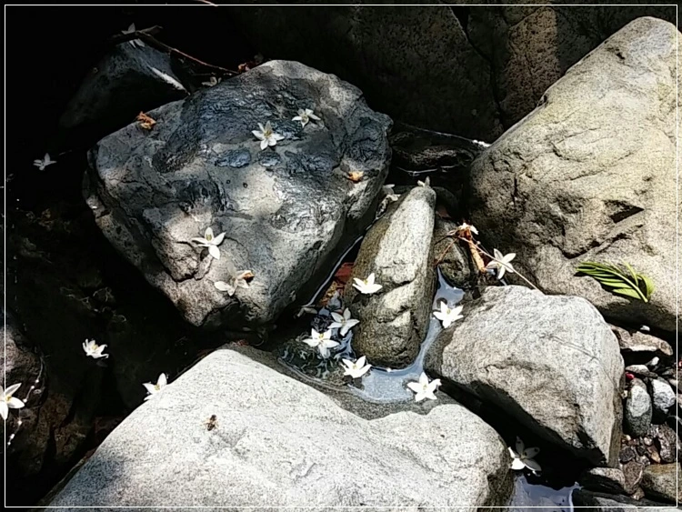 a0109537_574b006bd961a.jpeg?type=w966