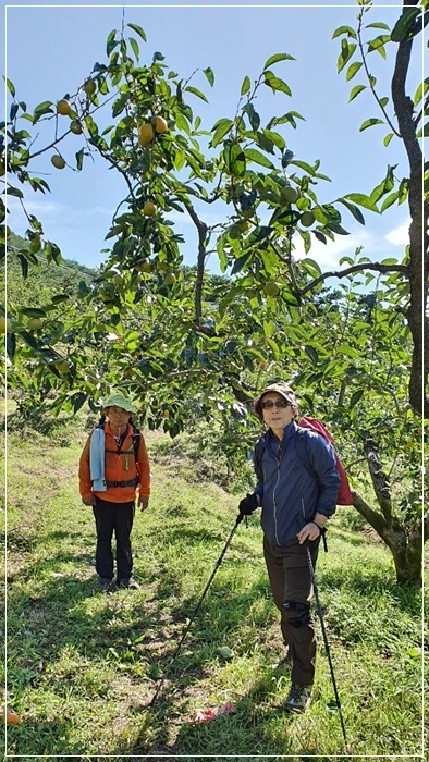 a0109537_5da882e29b14e.jpg?type=w966