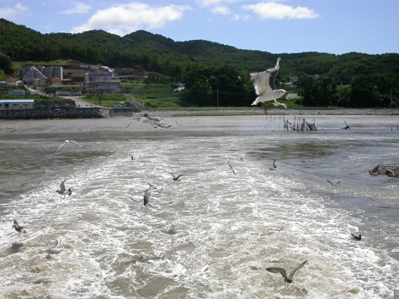 a0109537_49879422eda29.jpg?type=w966