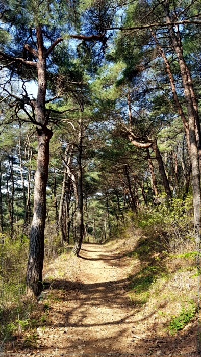 a0109537_58f6186bb400b.jpeg?type=w966