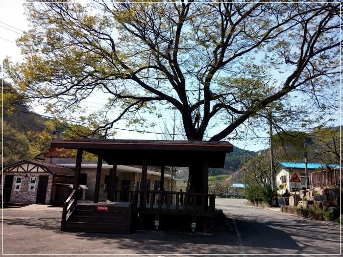 a0109537_58f75b235d925.jpg?type=w966