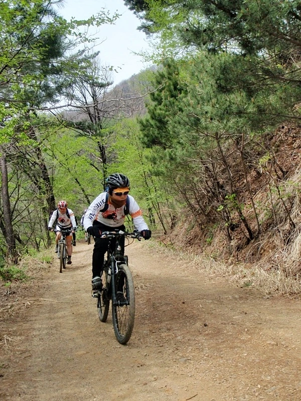 a0109537_4f9e344078e9f.jpg?type=w966