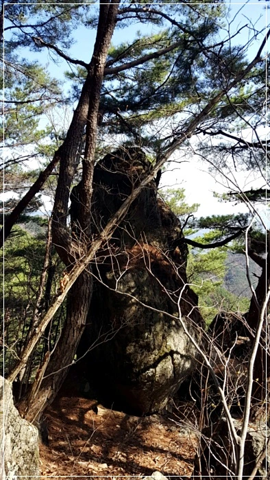 a0109537_5ad493f1cd583.jpg?type=w966