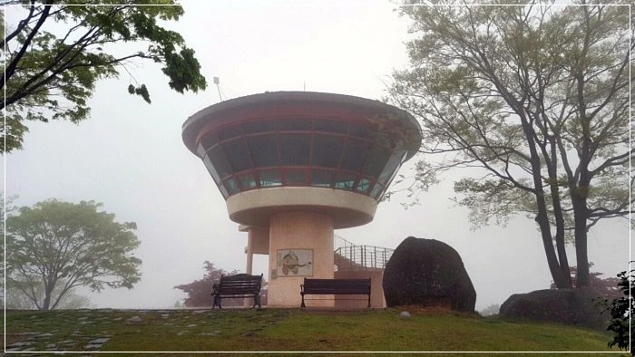 a0109537_58f75df8411d9.jpeg?type=w966