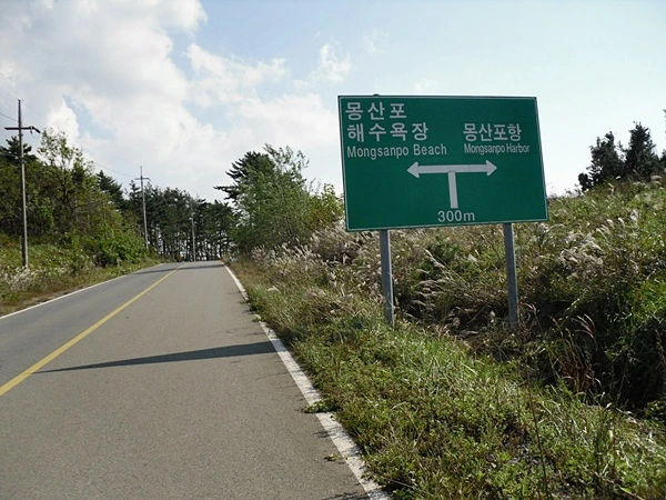 a0109537_4cb1c8734c19a.jpg?type=w966