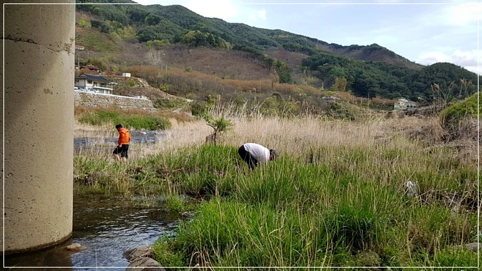 a0109537_5ad49b1cd9f64.jpg?type=w966