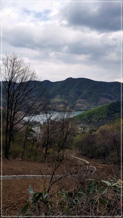 a0109537_58f6124a654e5.jpeg?type=w966