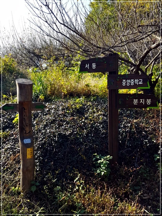 a0109537_5a00268abdc2a.jpg?type=w966