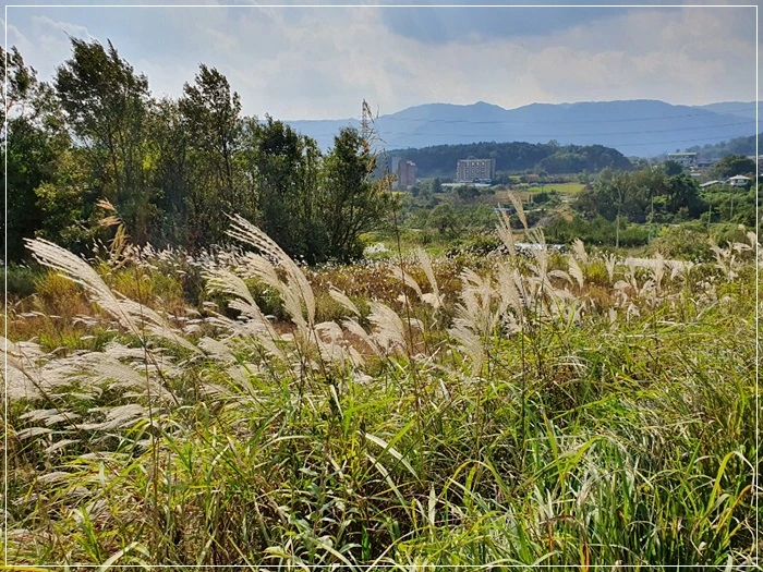 a0109537_5da87827d7066.jpg?type=w966