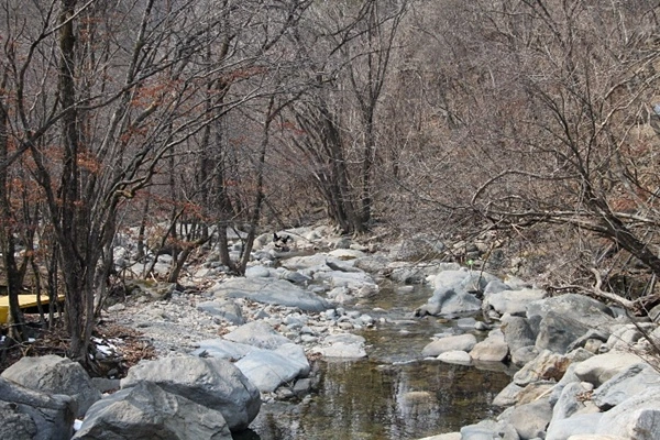 a0109537_4d90160d610f3.jpg?type=w966