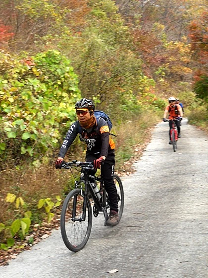 a0109537_544502c760c9a.jpg?type=w966