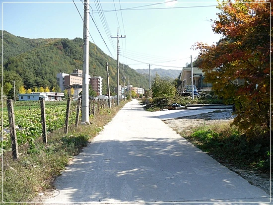 a0109537_4add340a13bb7.jpg?type=w966