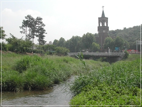 a0109537_4987942f3c643.jpg?type=w966