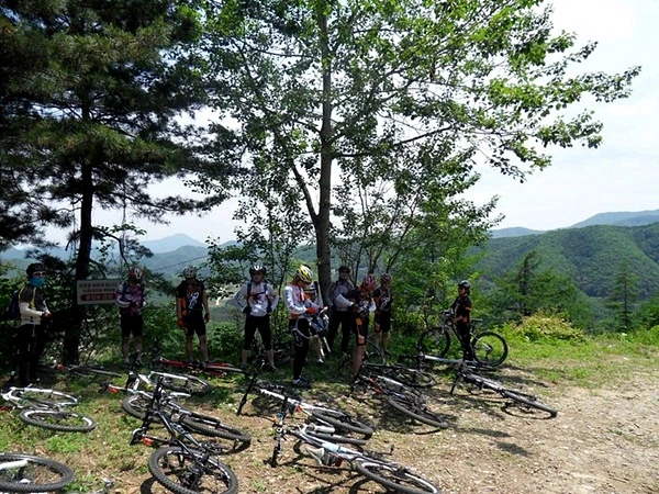 a0109537_4de393dcbf293.jpg?type=w966