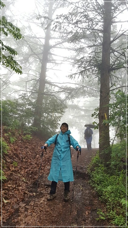 a0109537_574afb0436460.jpeg?type=w966