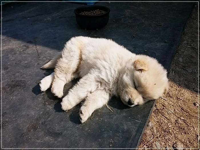 a0109537_56f6381be7921.jpg?type=w966