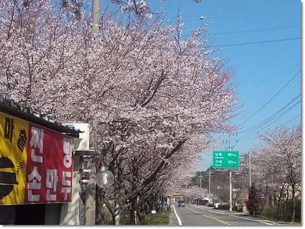 a0109537_4f811461b2e4f.jpg?type=w966