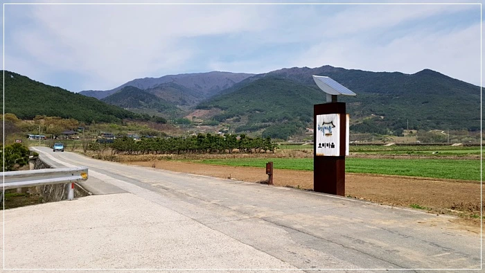 a0109537_5ad5f719d4f23.jpg?type=w966