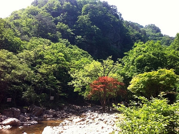 a0109537_4de2dfdcf0b64.jpg?type=w966