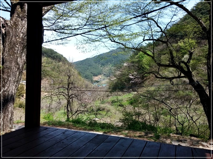 a0109537_58f75bce942f8.jpg?type=w966