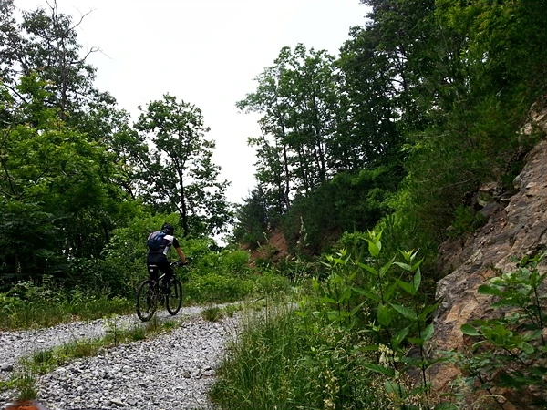 a0109537_51c7d64d28281.jpg?type=w966