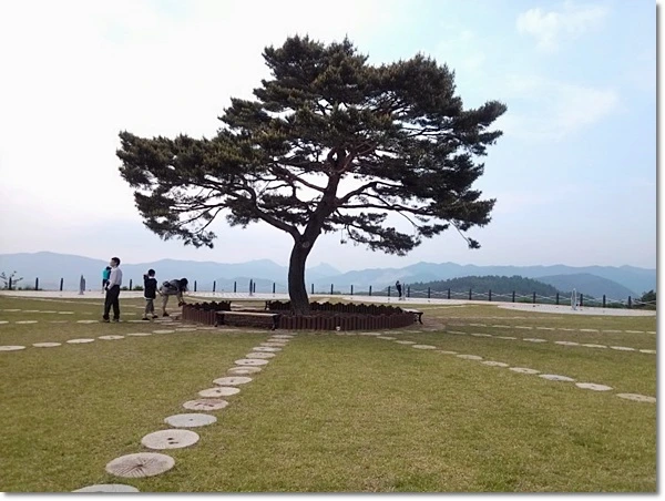 a0109537_4fc4bcea51e3e.jpg?type=w966