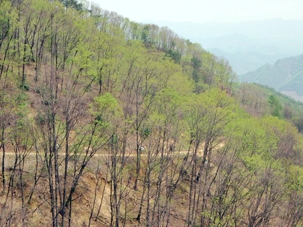 a0109537_4f9e34362597a.jpg?type=w966