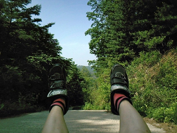 a0109537_4dfe92ff8c21c.jpg?type=w966