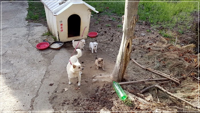 a0109537_5ad496c3bb8b3.jpg?type=w966