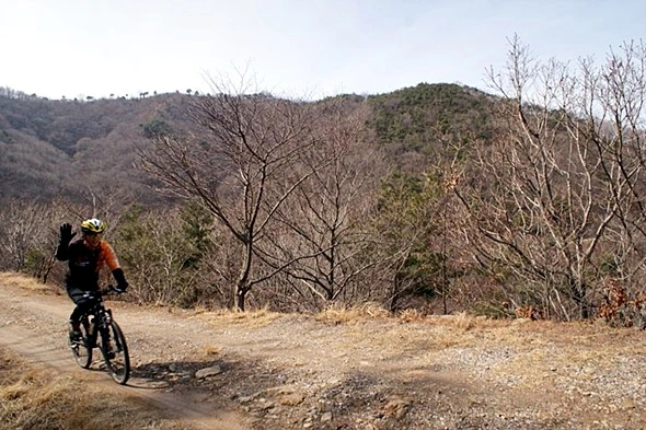 a0109537_49c1a41e05fc5.jpg?type=w966