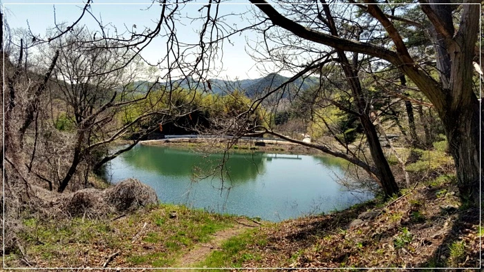 a0109537_58f75c4939484.jpeg?type=w966