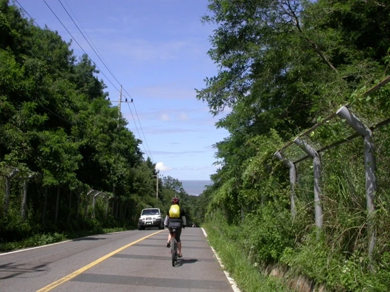 a0109537_49879422cc860.jpg?type=w966