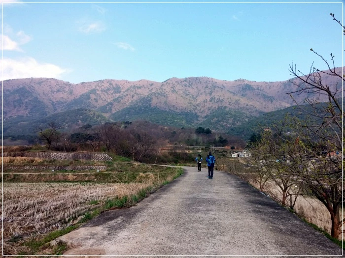 a0109537_58f616ef2ad5b.jpg?type=w966