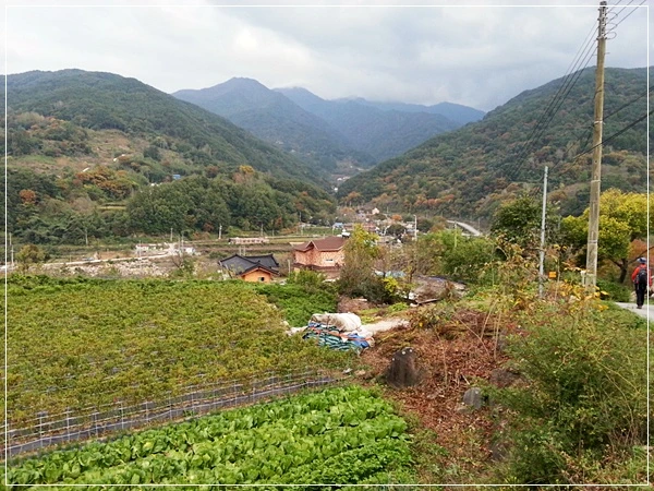 a0109537_526e670e77c3d.jpg?type=w966