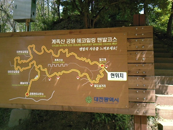 a0109537_4dc7dac17c703.jpg?type=w966