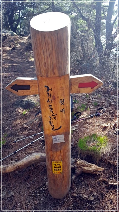 a0109537_5ad494e421fa8.jpg?type=w966