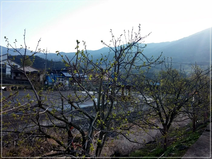 a0109537_58f616581d2c2.jpg?type=w966