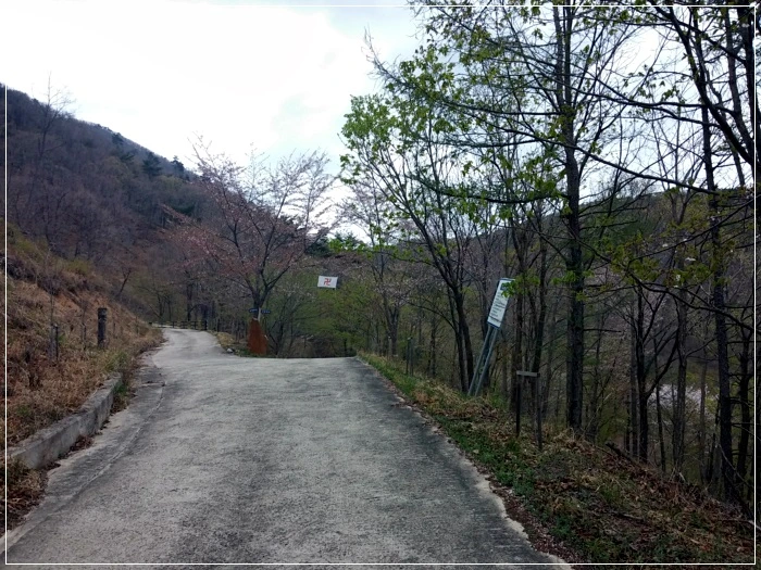 a0109537_58f612a93ac04.jpg?type=w966