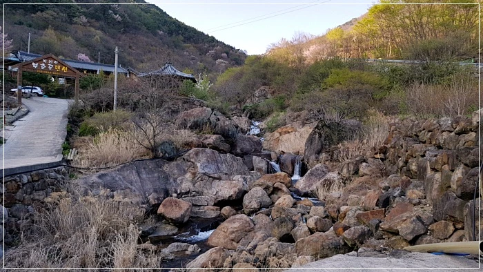 a0109537_5ad495a34e58e.jpg?type=w966