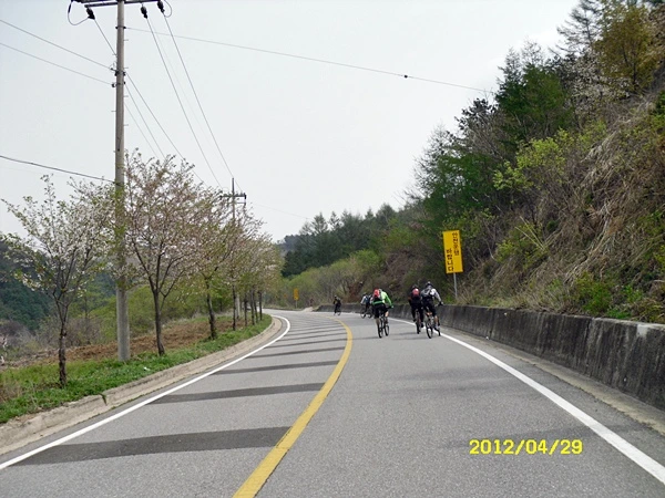 a0109537_4f9e341dafba4.jpg?type=w966