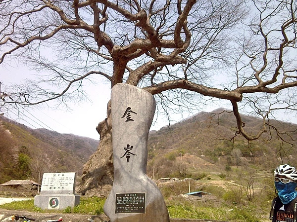 a0109537_4bde4b33a3199.jpg?type=w966