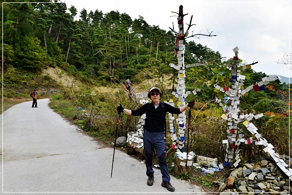 a0109537_526e6703b66f1.jpg?type=w966