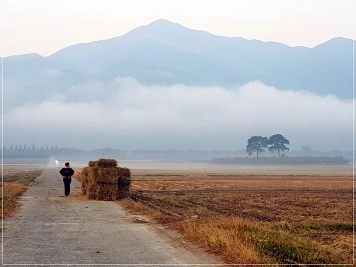 a0109537_5a01b25daef95.jpg?type=w966