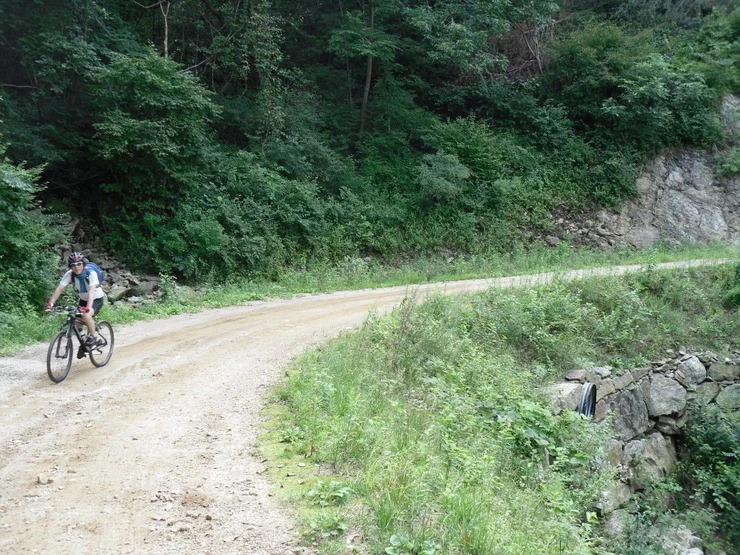 a0109537_4e3e835c06a20.jpg?type=w966