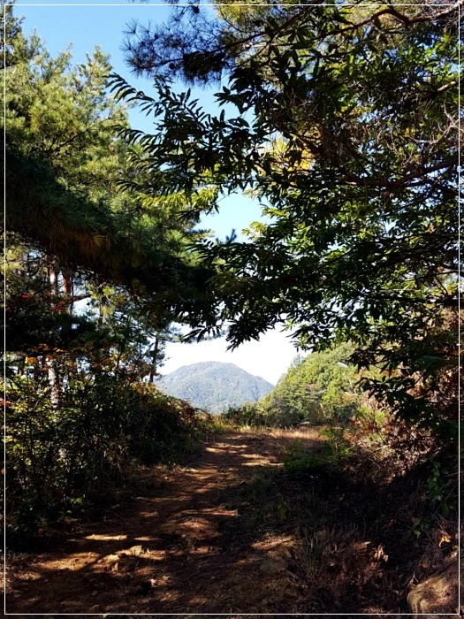 a0109537_5a01b5d428d37.jpg?type=w966